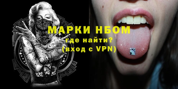 шишки Белоозёрский