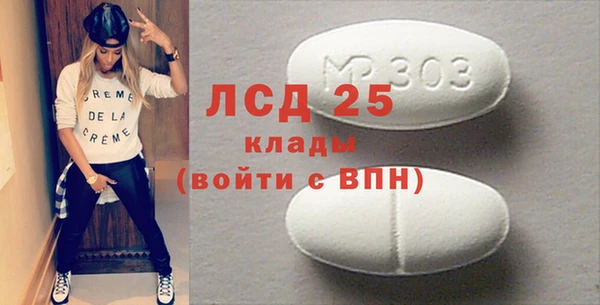 шишки Белоозёрский