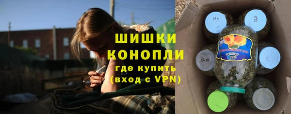 марихуана Белокуриха