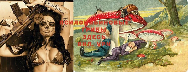 метамфетамин Богородицк
