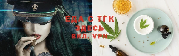 индика Богданович