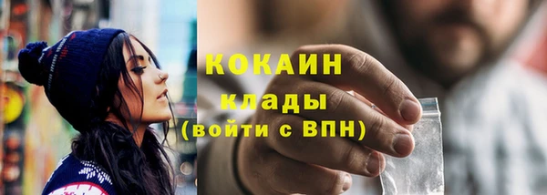 шишки Белоозёрский