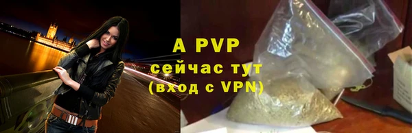 spice Беломорск