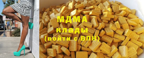 индика Богданович