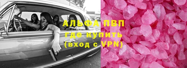 индика Богданович