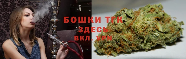 шишки Белоозёрский