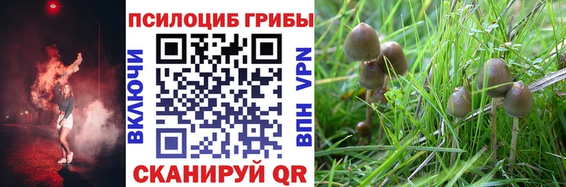 Галлюциногенные грибы Cubensis  наркошоп  Славгород 